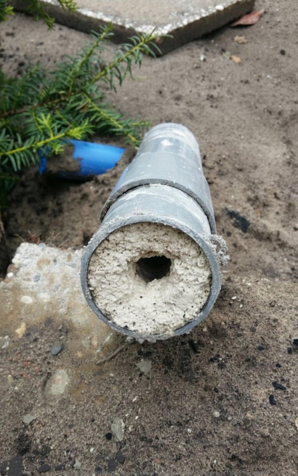 Boosdoeners rioolverstopping Dordrecht: de 5 oorzaken