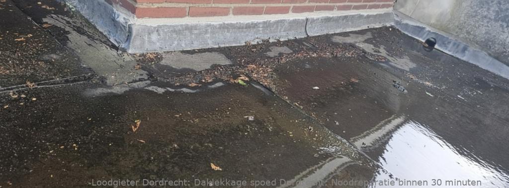 Daklekkage spoed Dordrecht: Noodreparatie binnen 30 minuten