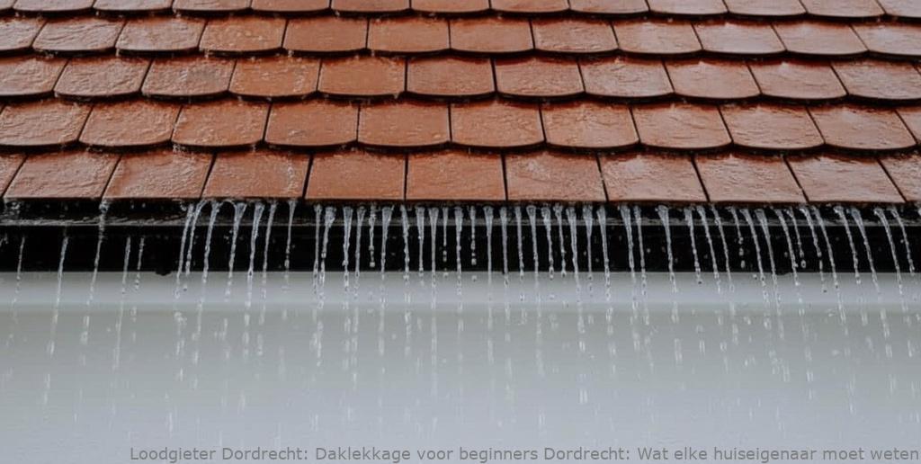 Daklekkage voor beginners Dordrecht: Wat elke huiseigenaar moet weten