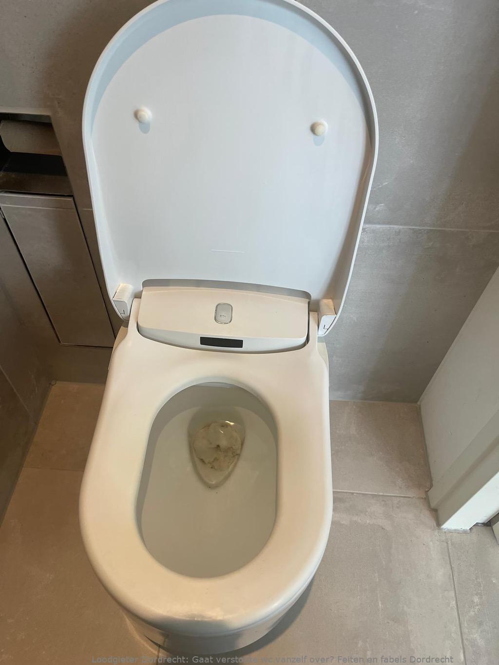 Gaat verstopte wc vanzelf over? Feiten en fabels Dordrecht