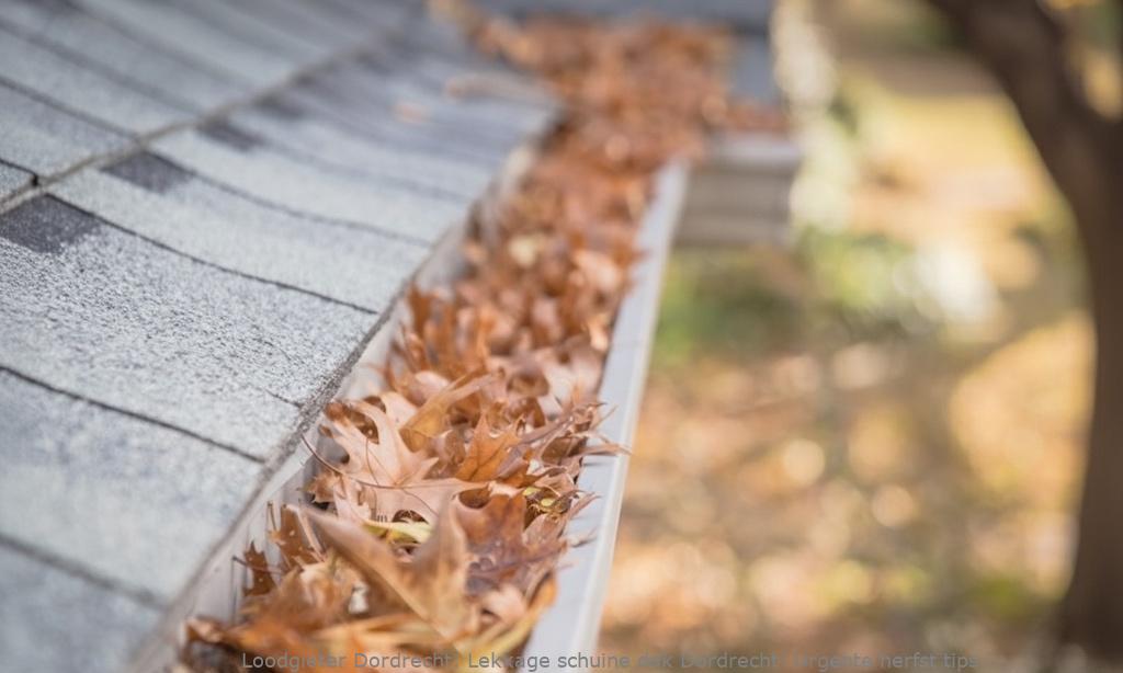 Lekkage schuine dak Dordrecht: Urgente herfst tips