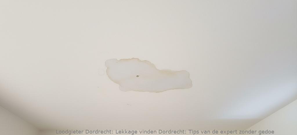 Lekkage vinden Dordrecht: Tips van de expert zonder gedoe