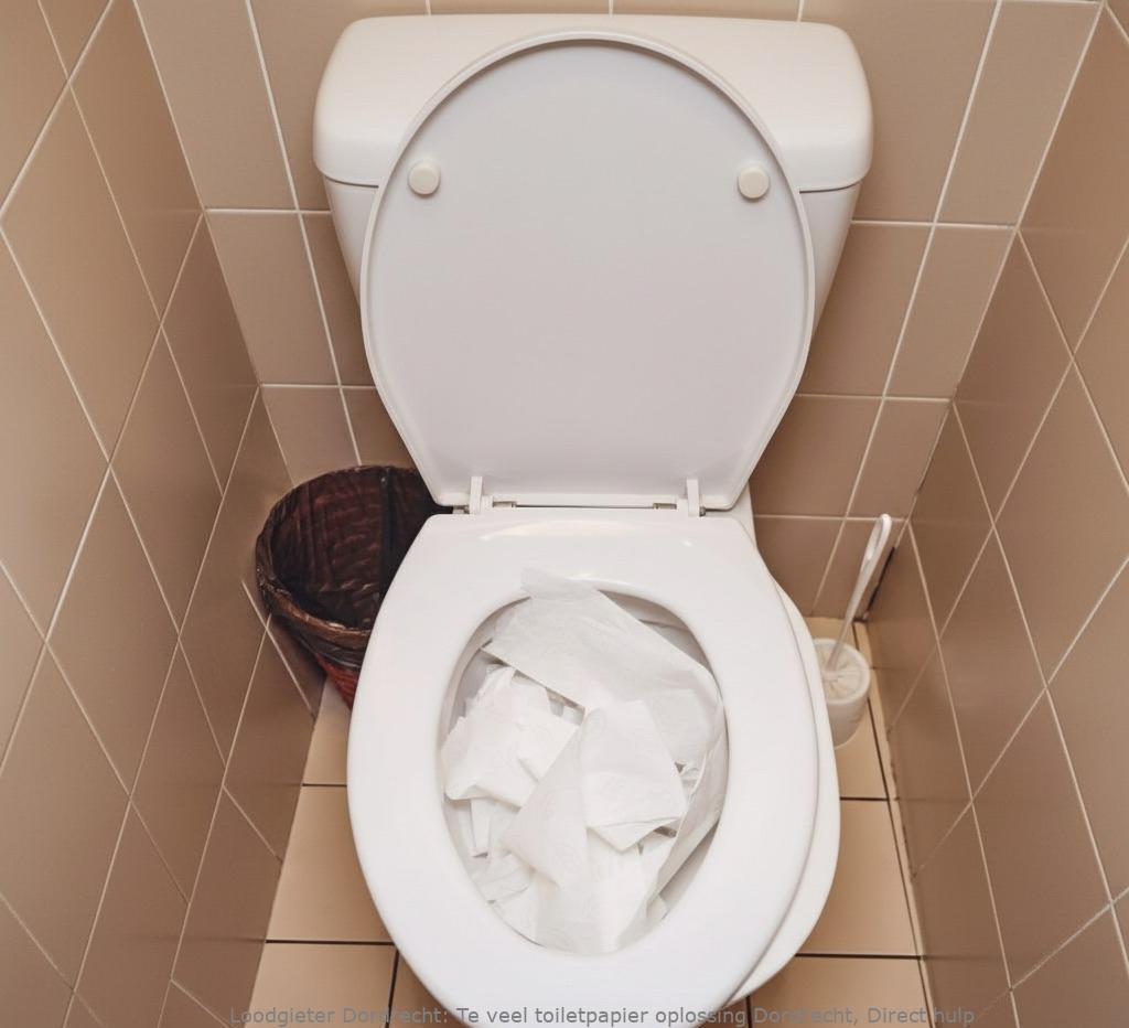 Te veel toiletpapier oplossing Dordrecht, Direct hulp