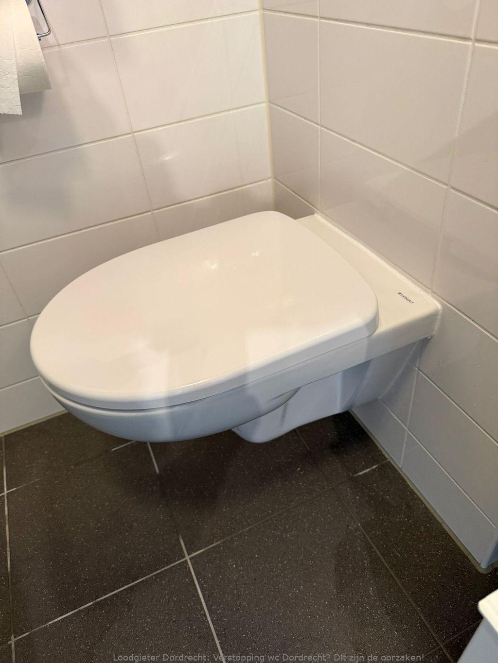 Verstopping wc Dordrecht? Dit zijn de oorzaken!
