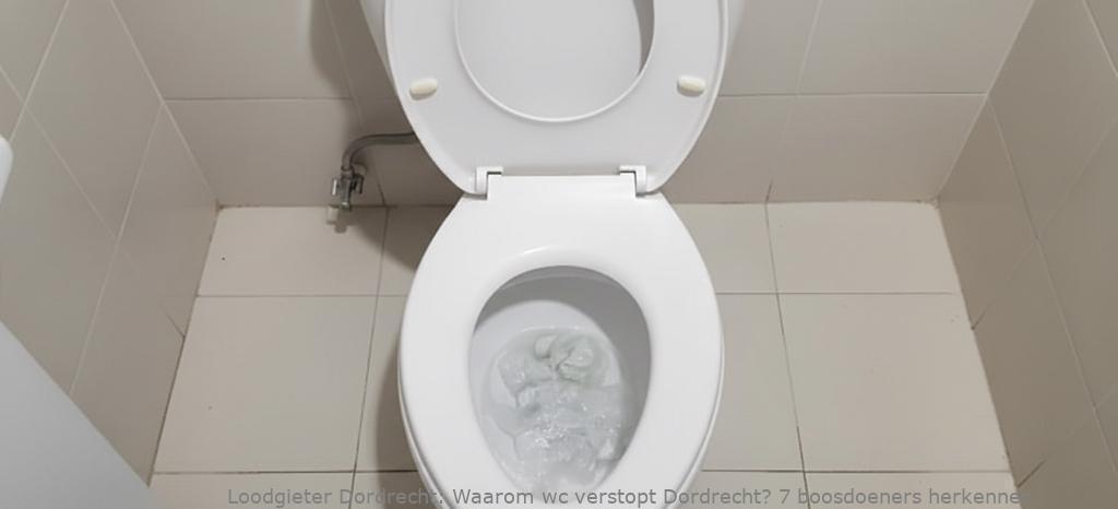 Waarom wc verstopt Dordrecht? 7 boosdoeners herkennen