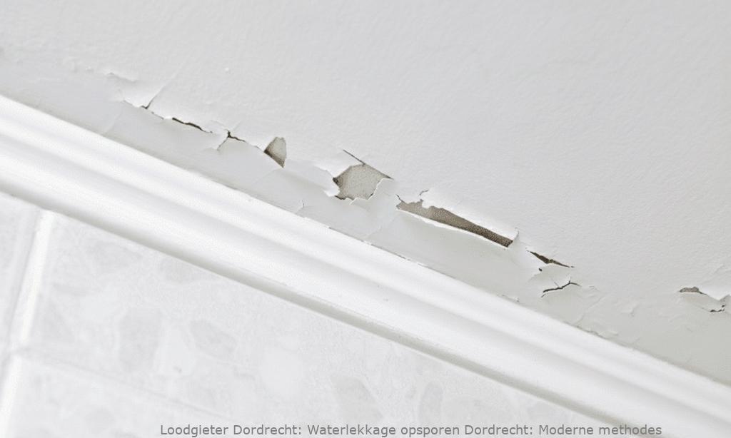 Waterlekkage opsporen Dordrecht: Moderne methodes