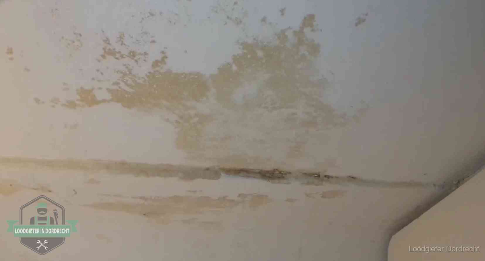 Watervlekken op een plafond in Dordrecht, schade die je bij de verzekering meldt